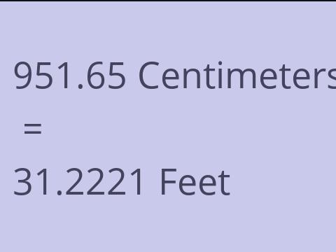 951.65 CM TO FEET