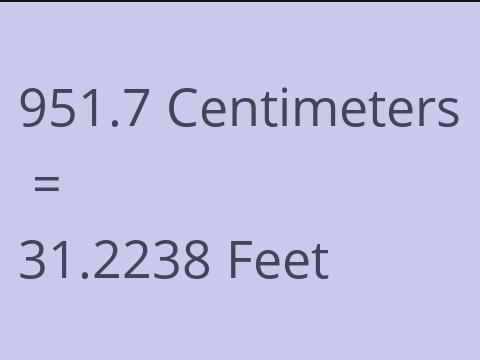 951.7 CM TO FEET