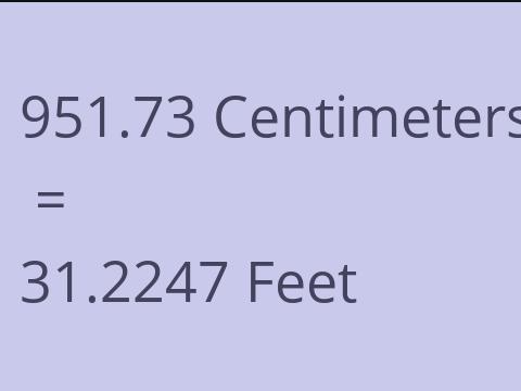 951.73 CM TO FEET