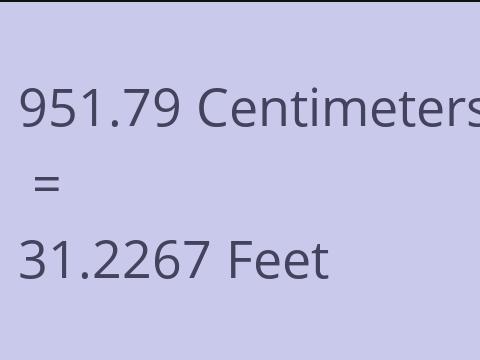 951.79 CM TO FEET