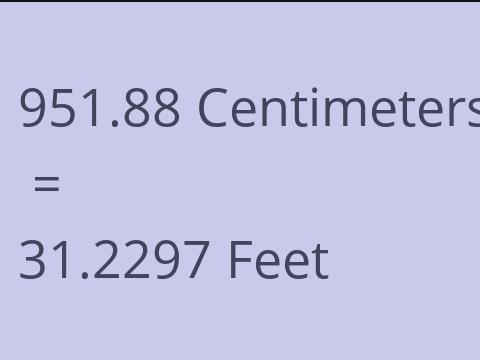 951.88 CM TO FEET