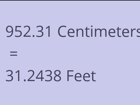 952.31 CM TO FEET