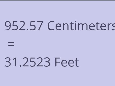 952.57 CM TO FEET