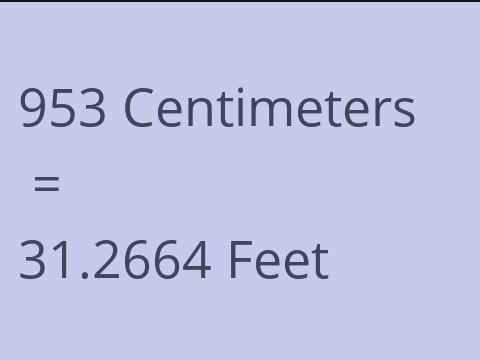 953 CM TO FEET