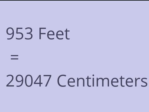 953 FEET TO CM