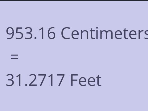 953.16 CM TO FEET