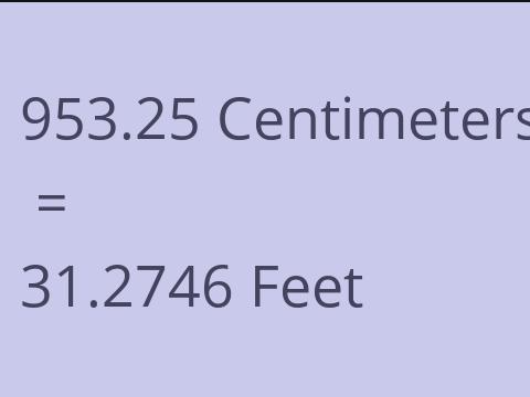 953.25 CM TO FEET