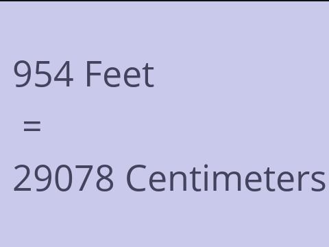 954 FEET TO CM