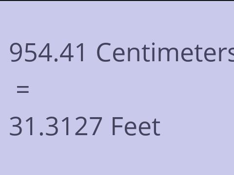 954.41 CM TO FEET