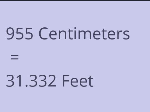 955 CM TO FEET