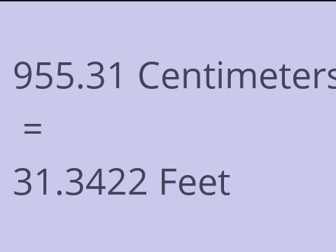 955.31 CM TO FEET