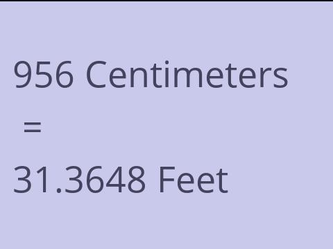 956 CM TO FEET