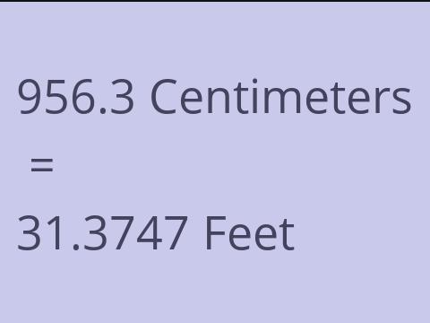 956.3 CM TO FEET