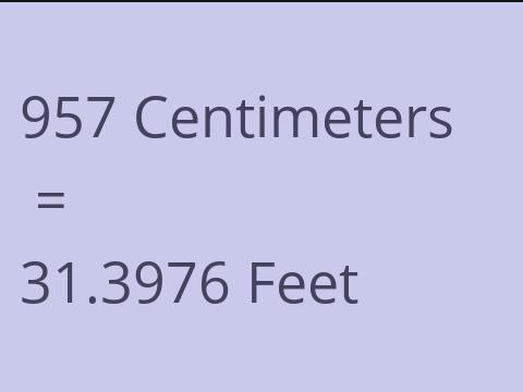 957 CM TO FEET