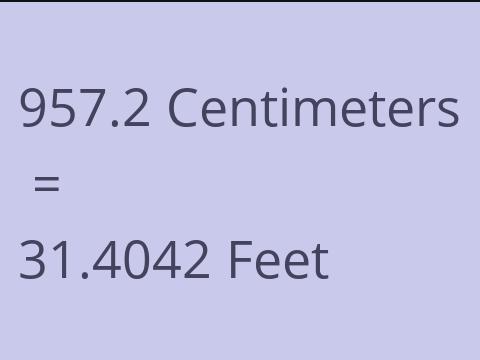 957.2 CM TO FEET