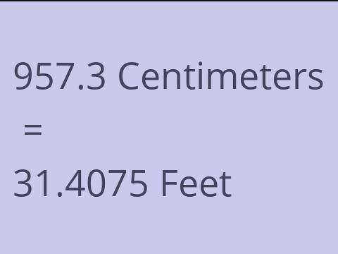 957.3 CM TO FEET