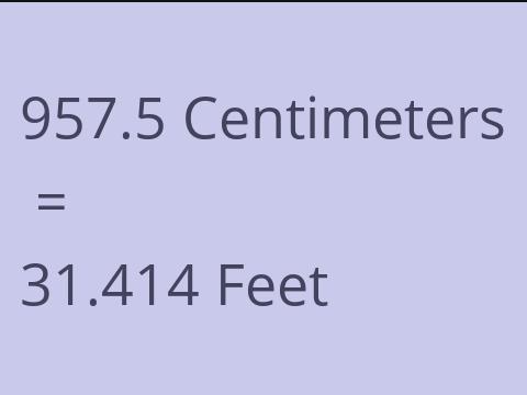 957.5 CM TO FEET