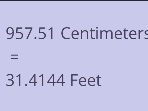 957.51 CM TO FEET