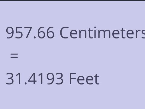 957.66 CM TO FEET