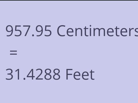 957.95 CM TO FEET