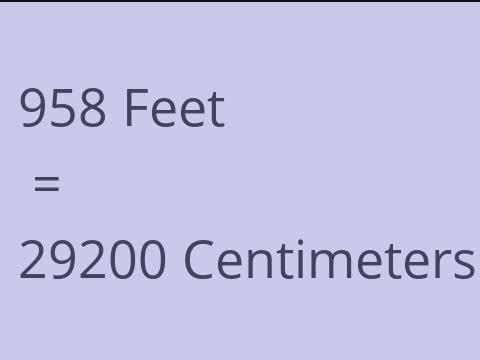 958 FEET TO CM