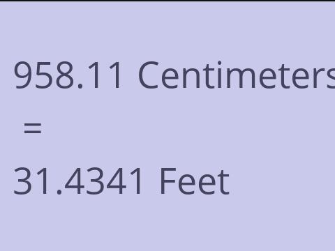 958.11 CM TO FEET