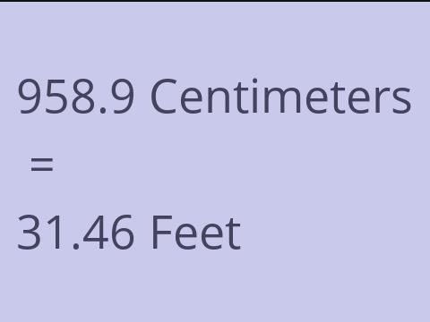 958.9 CM TO FEET