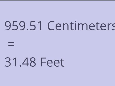 959.51 CM TO FEET