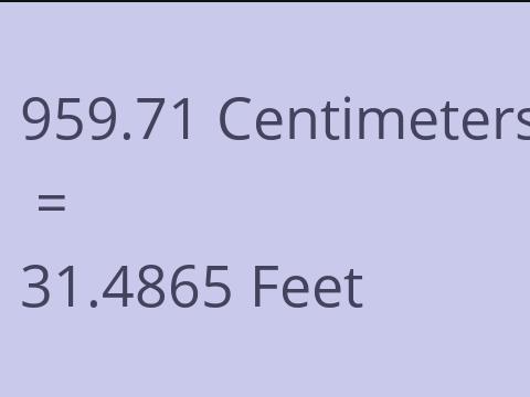 959.71 CM TO FEET