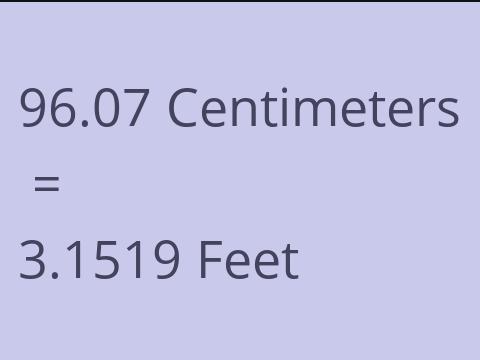 96.07 CM TO FEET