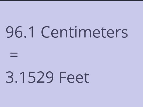 96.1 CM TO FEET