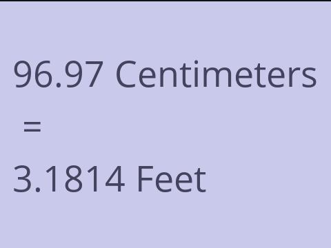 96.97 CM TO FEET