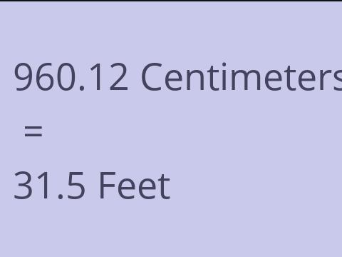 960.12 CM TO FEET