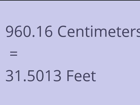 960.16 CM TO FEET