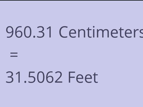 960.31 CM TO FEET