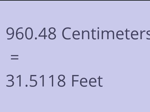 960.48 CM TO FEET