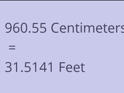 960.55 CM TO FEET