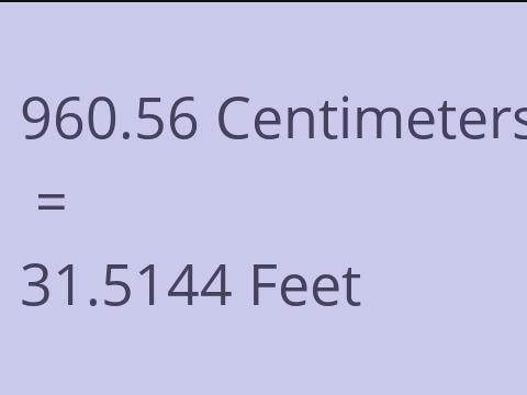 960.56 CM TO FEET