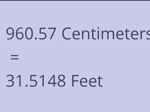 960.57 CM TO FEET