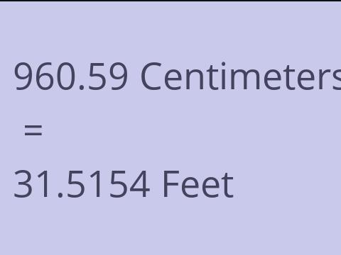 960.59 CM TO FEET