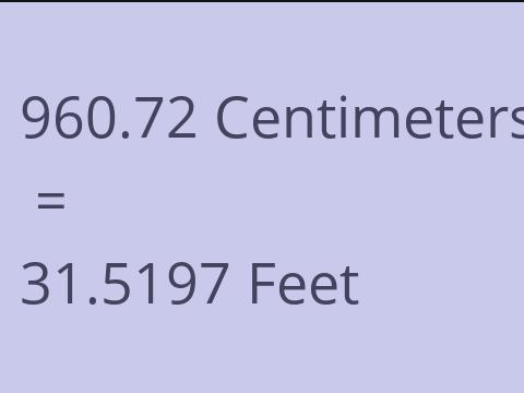 960.72 CM TO FEET