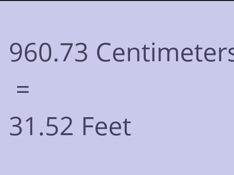 960.73 CM TO FEET