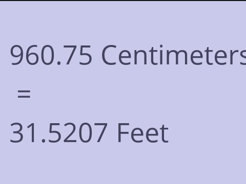 960.75 CM TO FEET