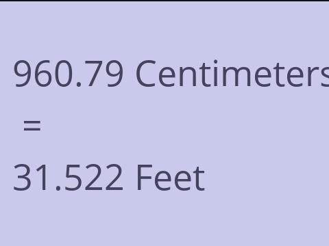 960.79 CM TO FEET