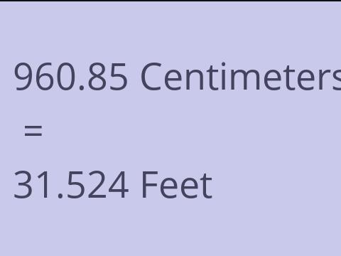 960.85 CM TO FEET