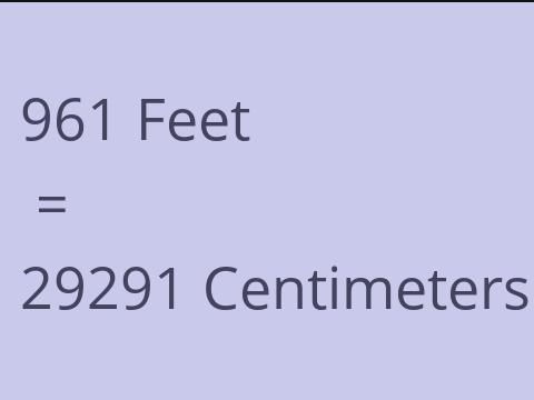 961 FEET TO CM