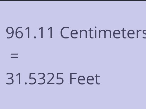 961.11 CM TO FEET