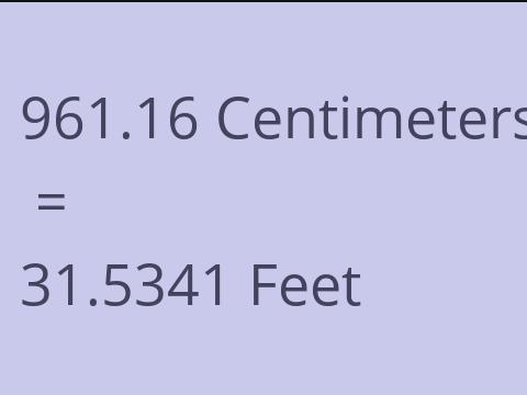 961.16 CM TO FEET