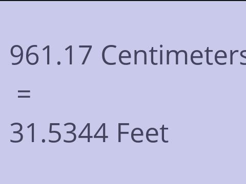 961.17 CM TO FEET