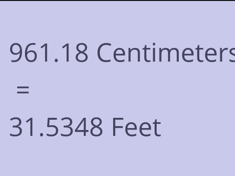 961.18 CM TO FEET